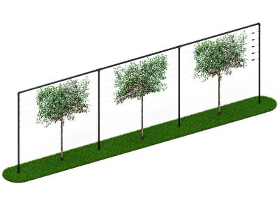 Leibomen frame | 9 meter breed | Zwart