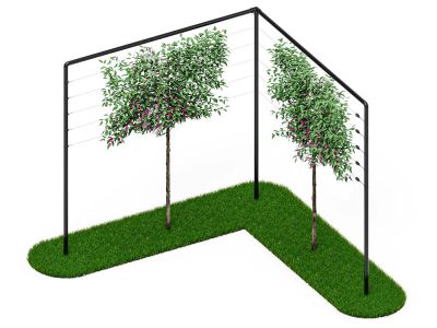 Leibomen frame | 6 meter breed met hoek | Zwart