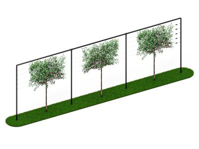 Leibomen frame | 9 meter breed | Zwart