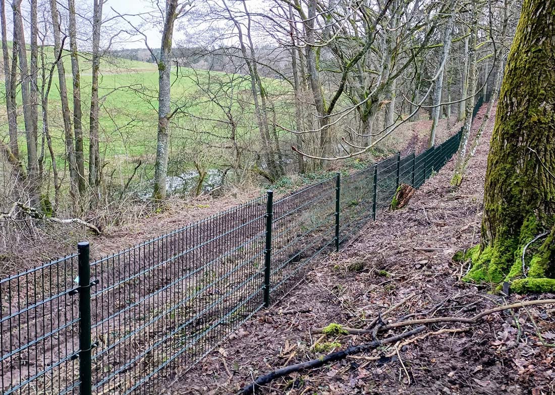 Heel, heel veel meters hekwerk door de prachtige Eifel.
