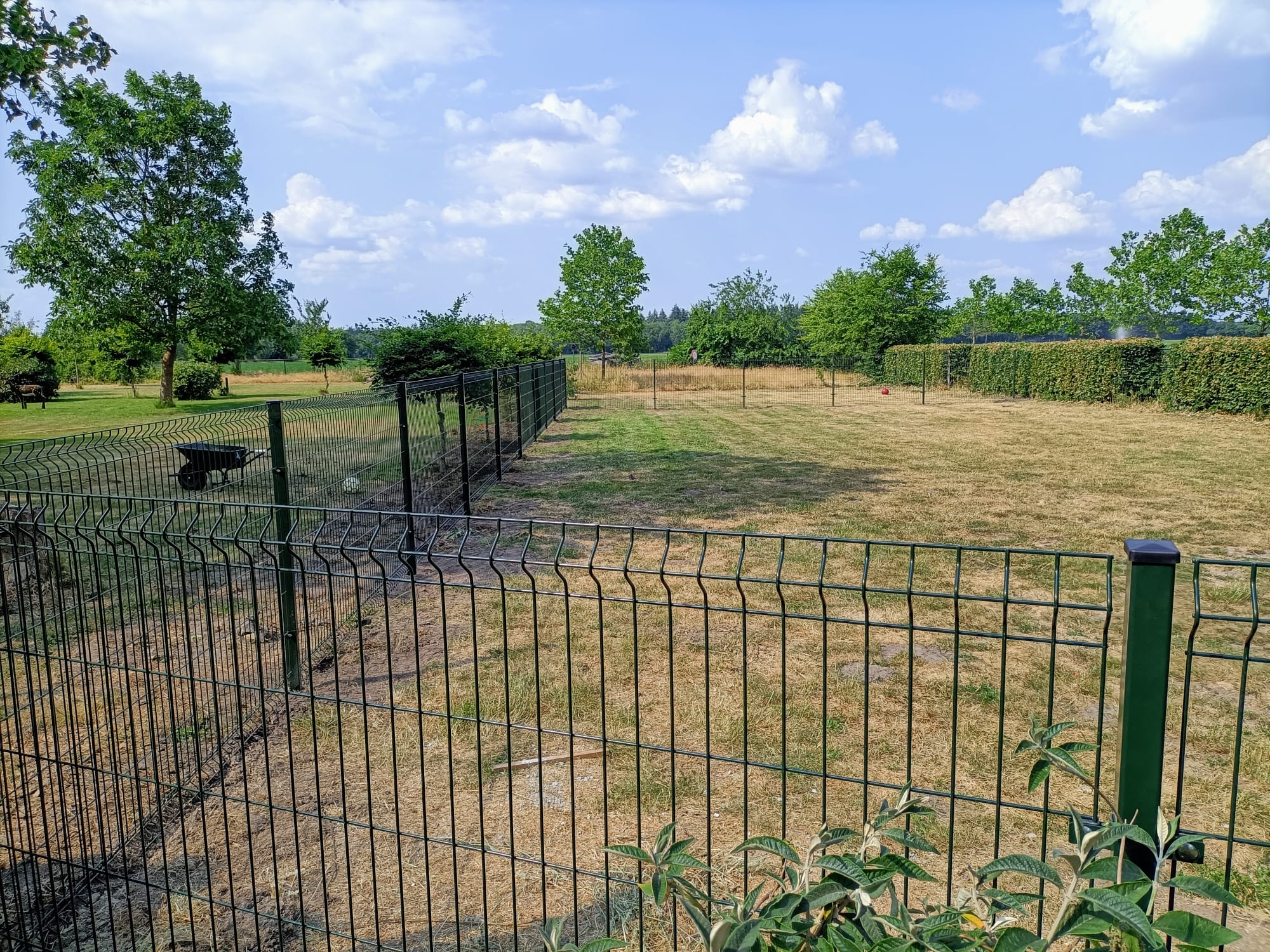 Enkelstaafmat hekwerk met premium tuinpoort