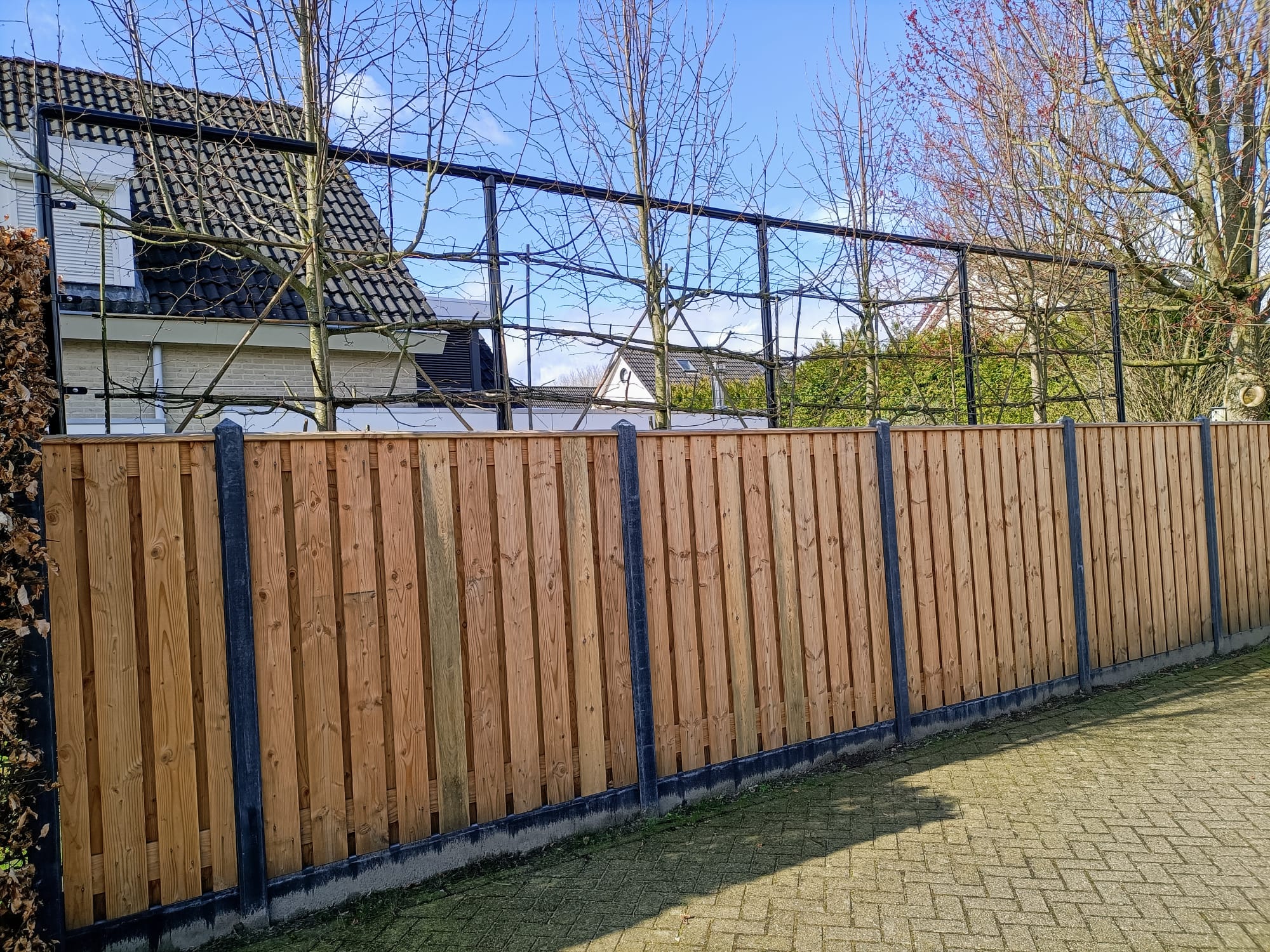 Hout betonschutting met leibomenframe