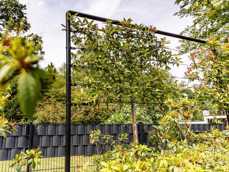 Leibomen frame