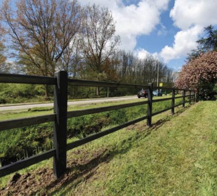 Paardenomheining